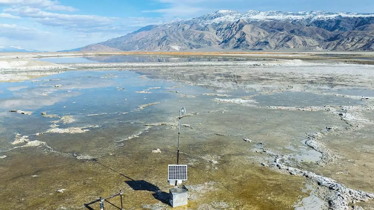 Piscine, giardini e agricoltura: Los Angeles è ingorda d’acqua e tutti i laghi si prosciugano