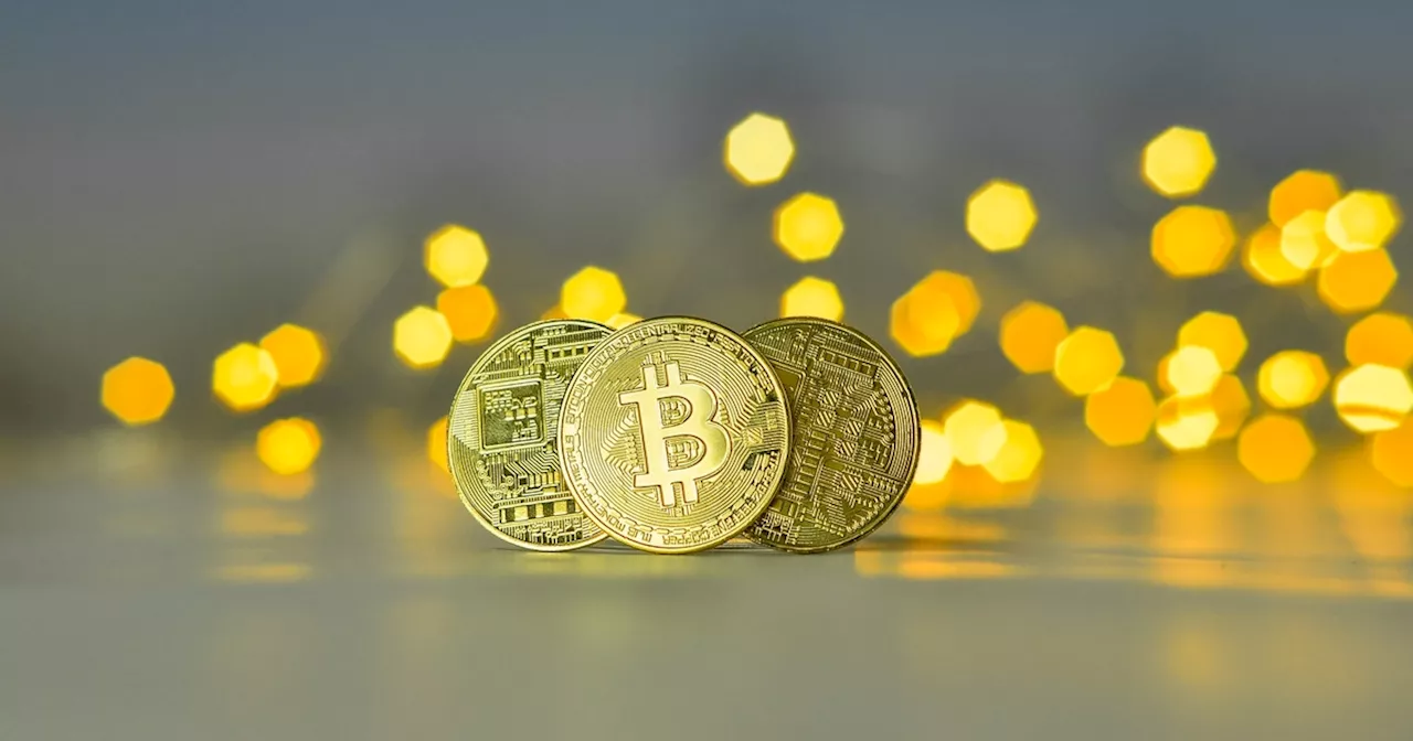 Fra Skrald til Slot: Bitcoin-Millionær