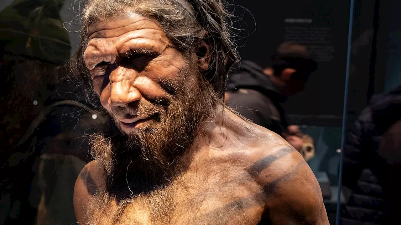 Neanderthal Sex: How Did Humans and Their Ancient Cousins Mate?