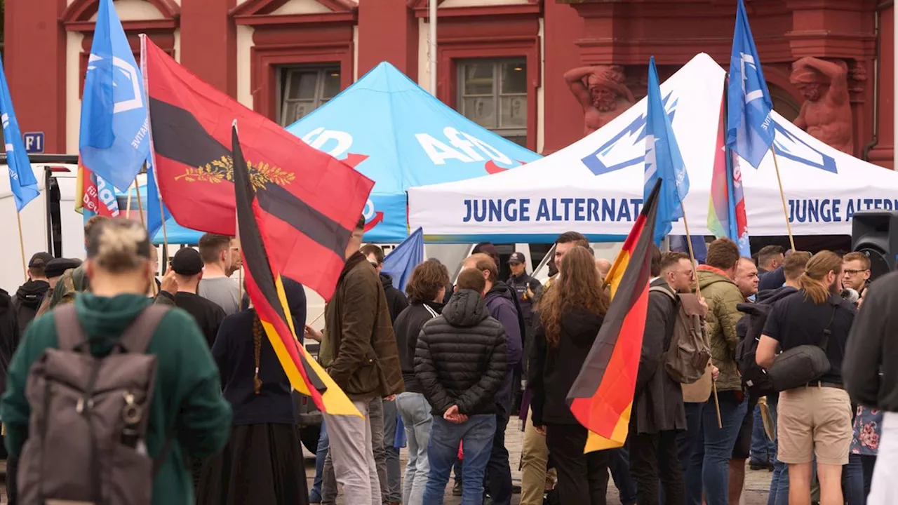 AfD ersetzt Jugendorganisation Junge Alternative