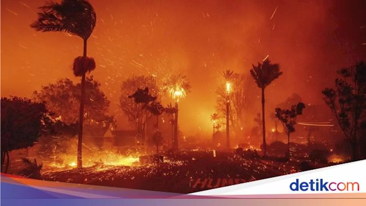 Al-Baqarah ayat 266: Tentang Angin Kencang yang Mengandung Api, Ini Maksudnya