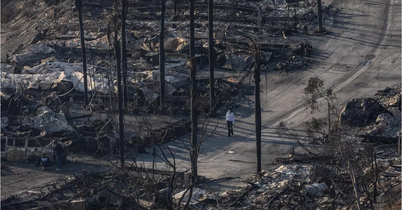 Brände in Los Angeles entlarven Schere zwischen Arm und Reich