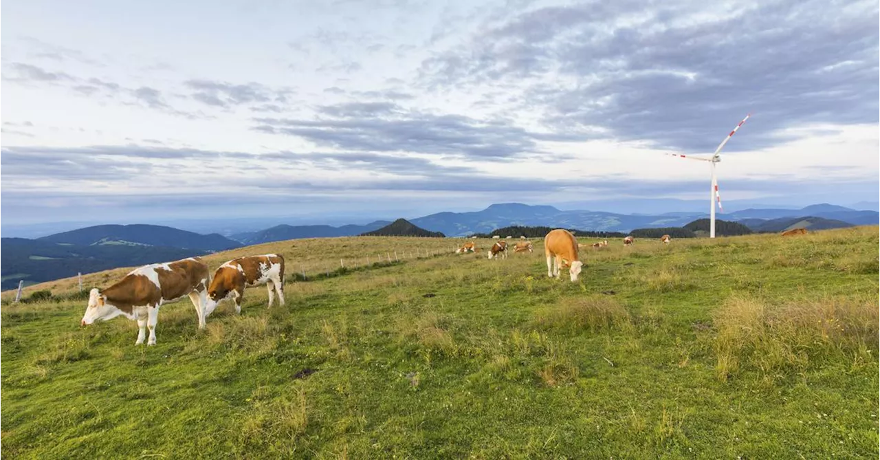 Klimaforscher Schellnhuber: „Windkraft ist nicht entscheidend“