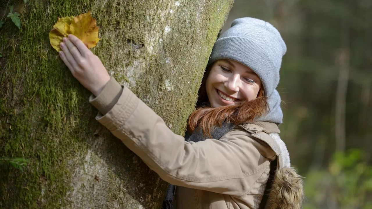 Shinrin-yoku, les bienfaits prouvés de la promenade en forêt pour votre corps et votre esprit