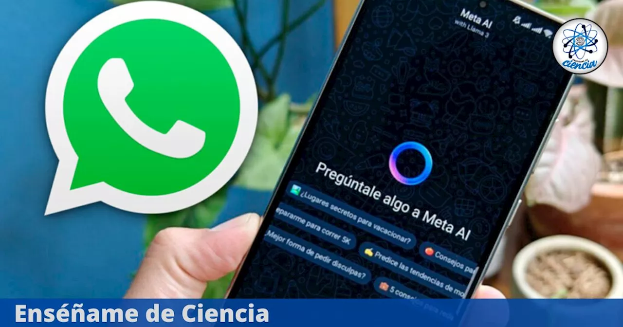 Los usuarios de WhatsApp buscan eliminar la IA de Meta