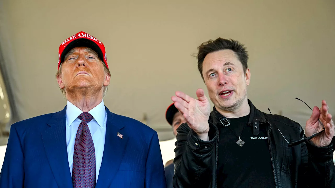 Detaljerna: Så ska Elon Musk arbeta för Donald Trump