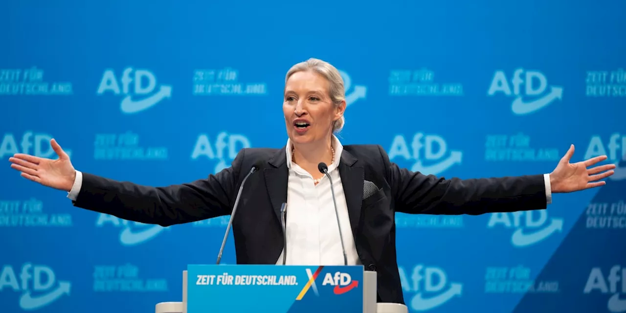 Bei Wutrede lässt Weidel einen entscheidenden AfD-Widerspruch ungelöst