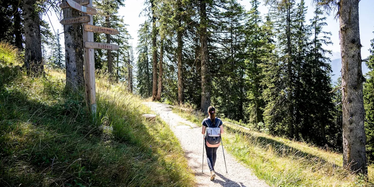 Sie müssen nicht ins Fitnessstudio: 3 andere Wege, wie Ihr Körper 1000 Kalorien verbrennt