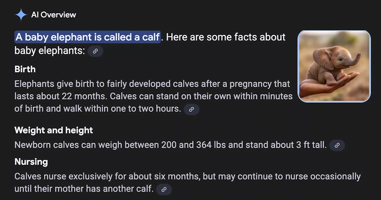 Google's AI Overview Promotes 'Adorable/Impossible' Baby Elephant Image