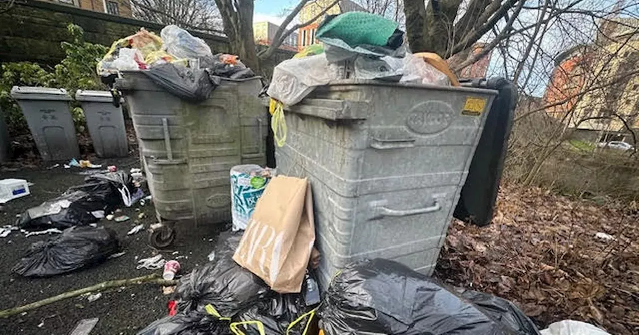 Residents Consider Legal Action as Bin Collection Nightmare Enters Ninth Year