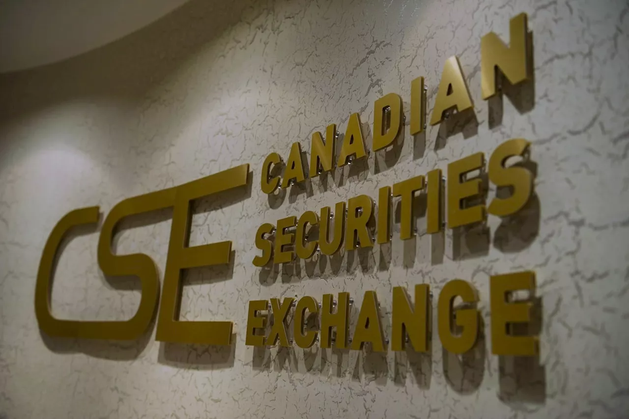 Former Canadian Securities Exchange executive seeks millions in wrongful dismissal lawsuit, alleges CEO was ‘abusive’