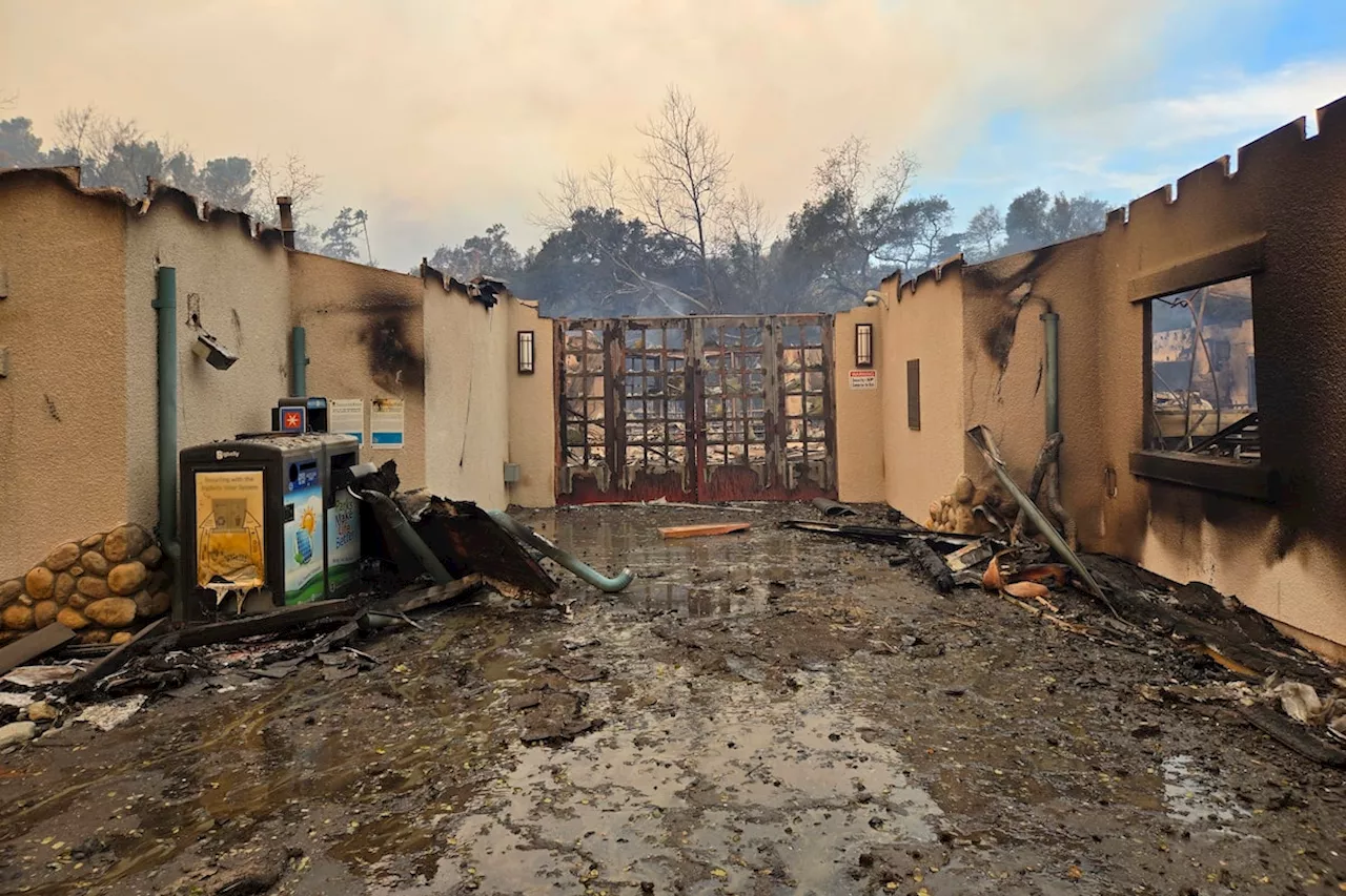 Wildfires Destroy California Nature Centers, Disrupting Outdoor Education