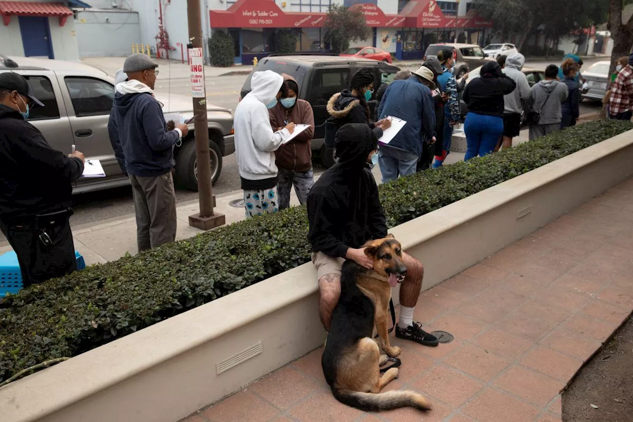 Wildfire Relief: Pasadena Humane Takes in Hundreds of Animals