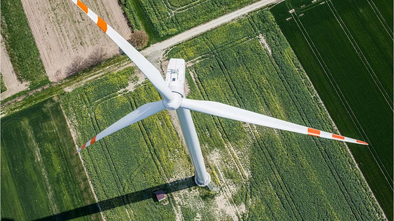 Knappe Mehrheit! Kärntner stimmen für Windkraft-Verbot