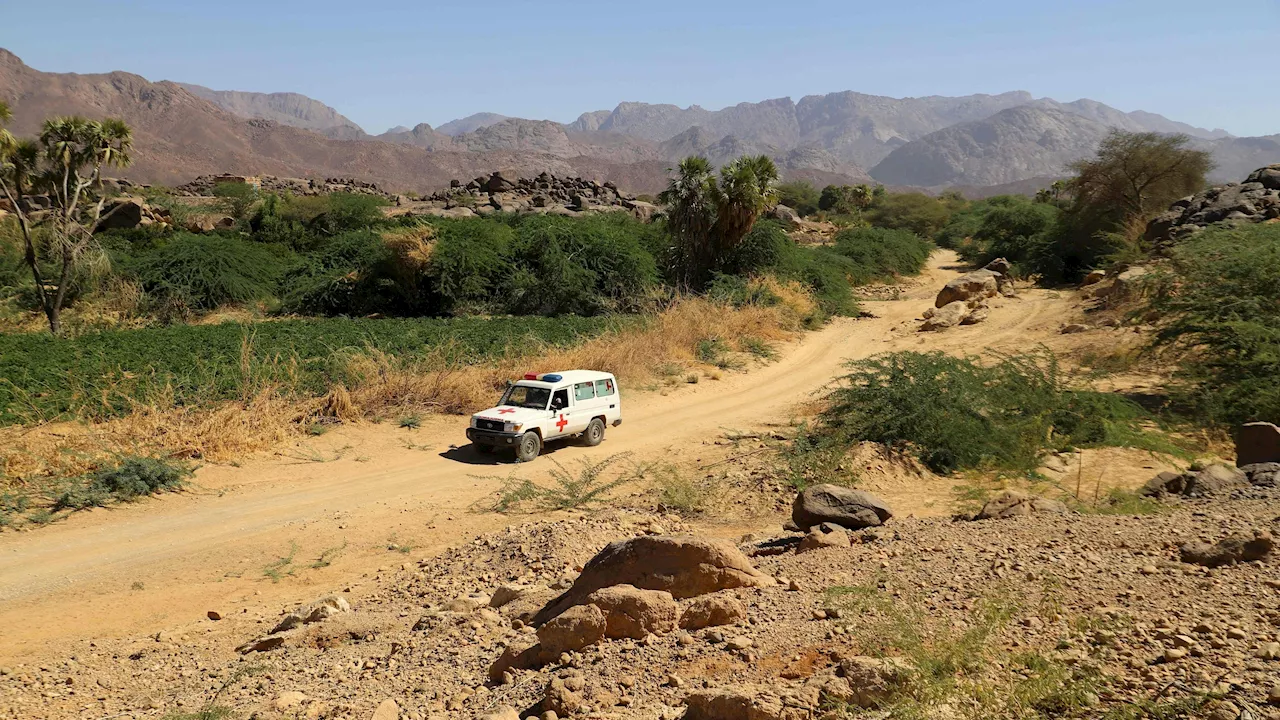 Österreicherin im Niger entführt