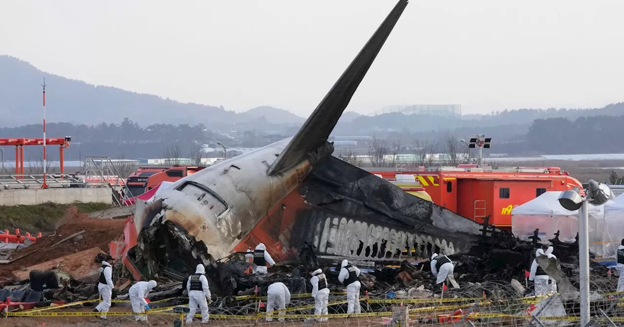 Black Boxes From South Korea Plane Crash Failed To Record Final 4 Minutes, Officials Say