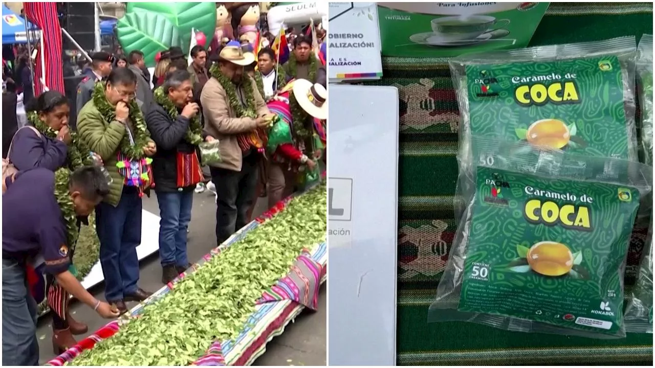 Giornata della masticazione della coca in Bolivia