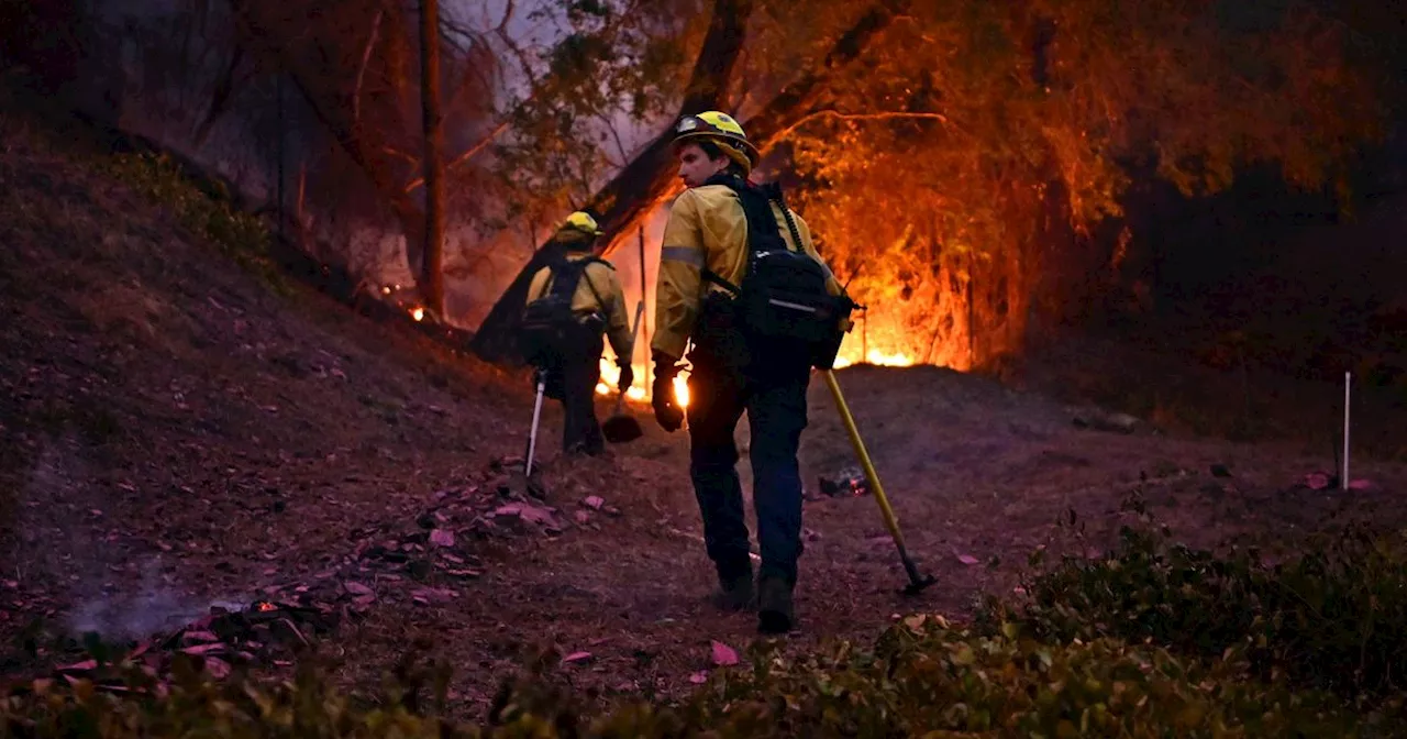 Celebrities Face Fury Over Water Waste Amidst Devastating LA Wildfires