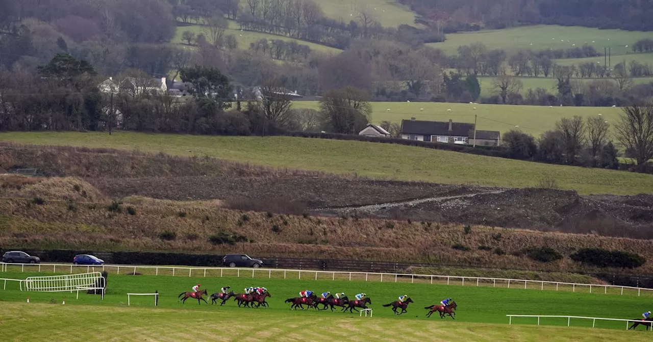 Don'tstopthemusic Killed in Punchestown Fall