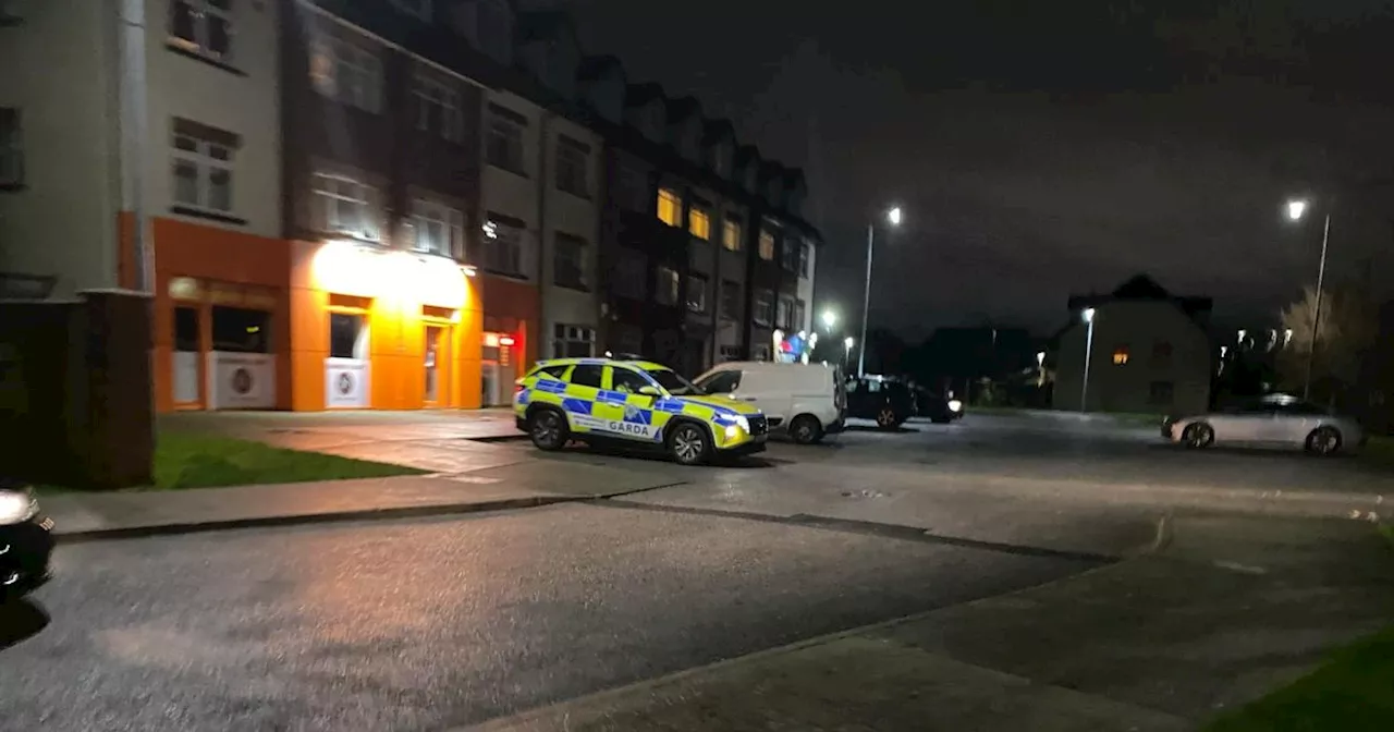 Man, 20s, hospitalised following violent incident in Limerick