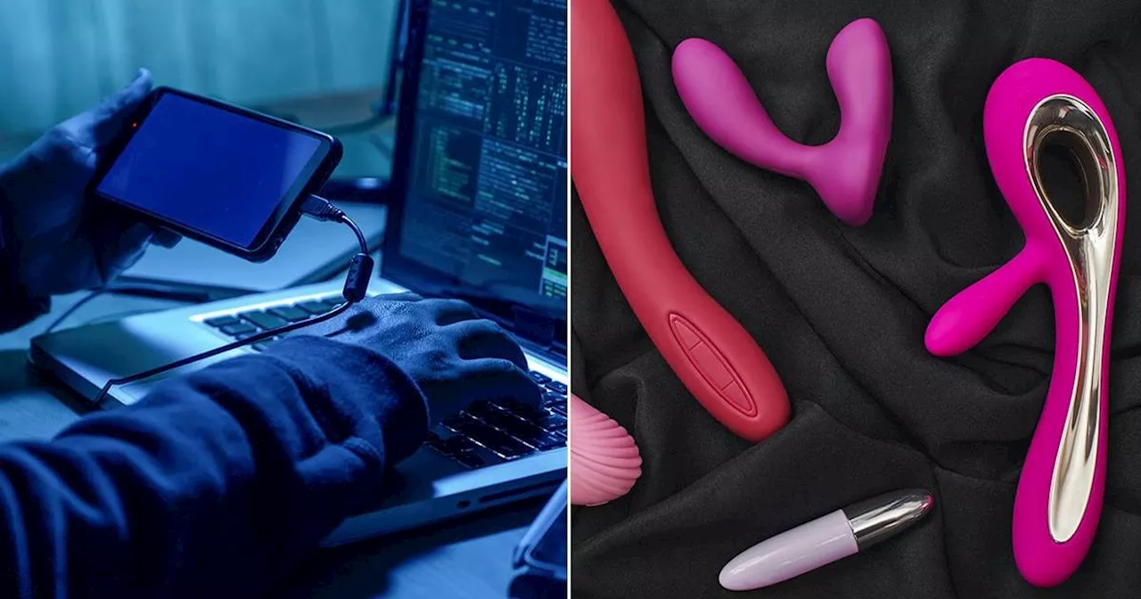 Sex Toys Vulnerable to Hackers, Experts Warn