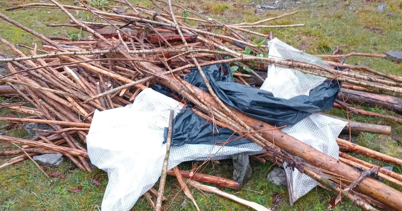 ‘Really disturbing’: Galway community garden is vandalised twice in December