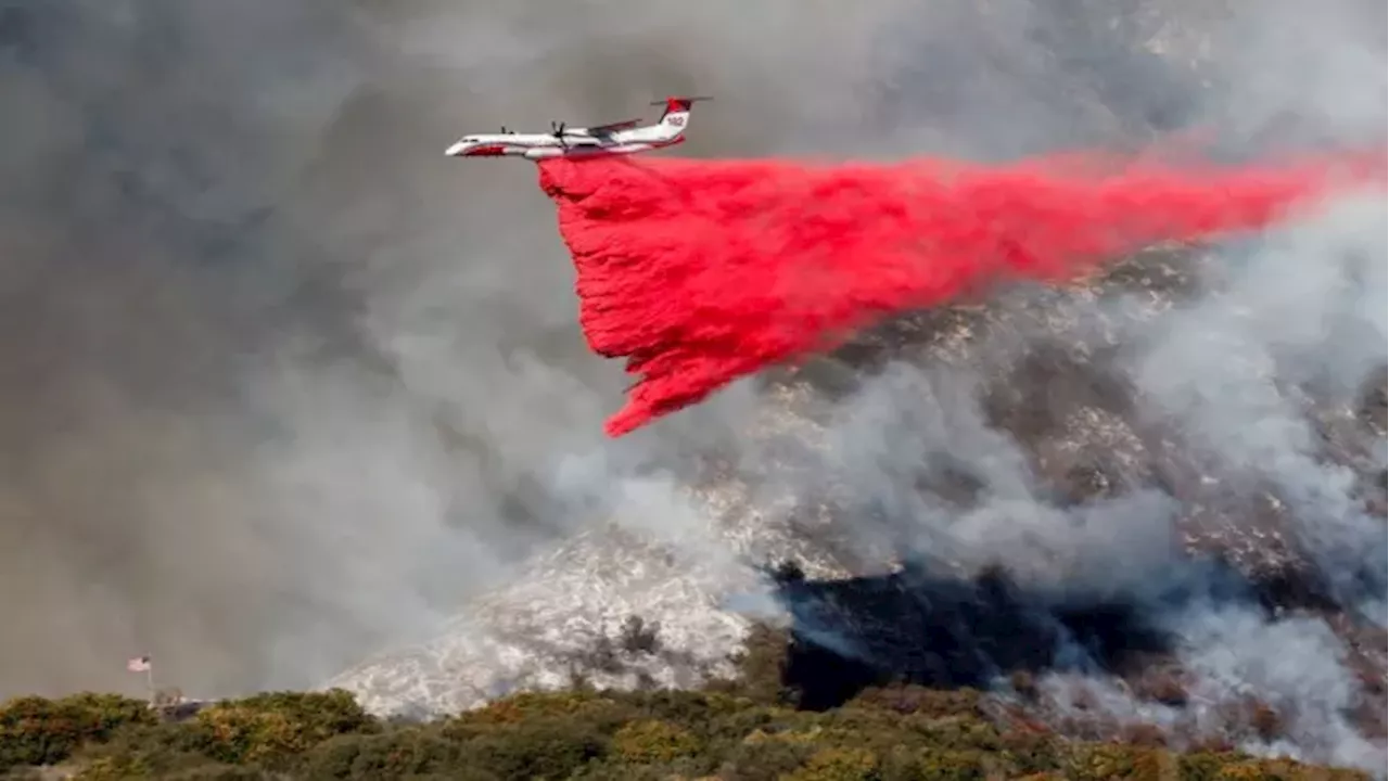 Los Angeles में नहीं रुक रही आग की रफ्तार, खंडहरों में तब्दील इमारतें; जानिए अब तक का पूरा अपडेट