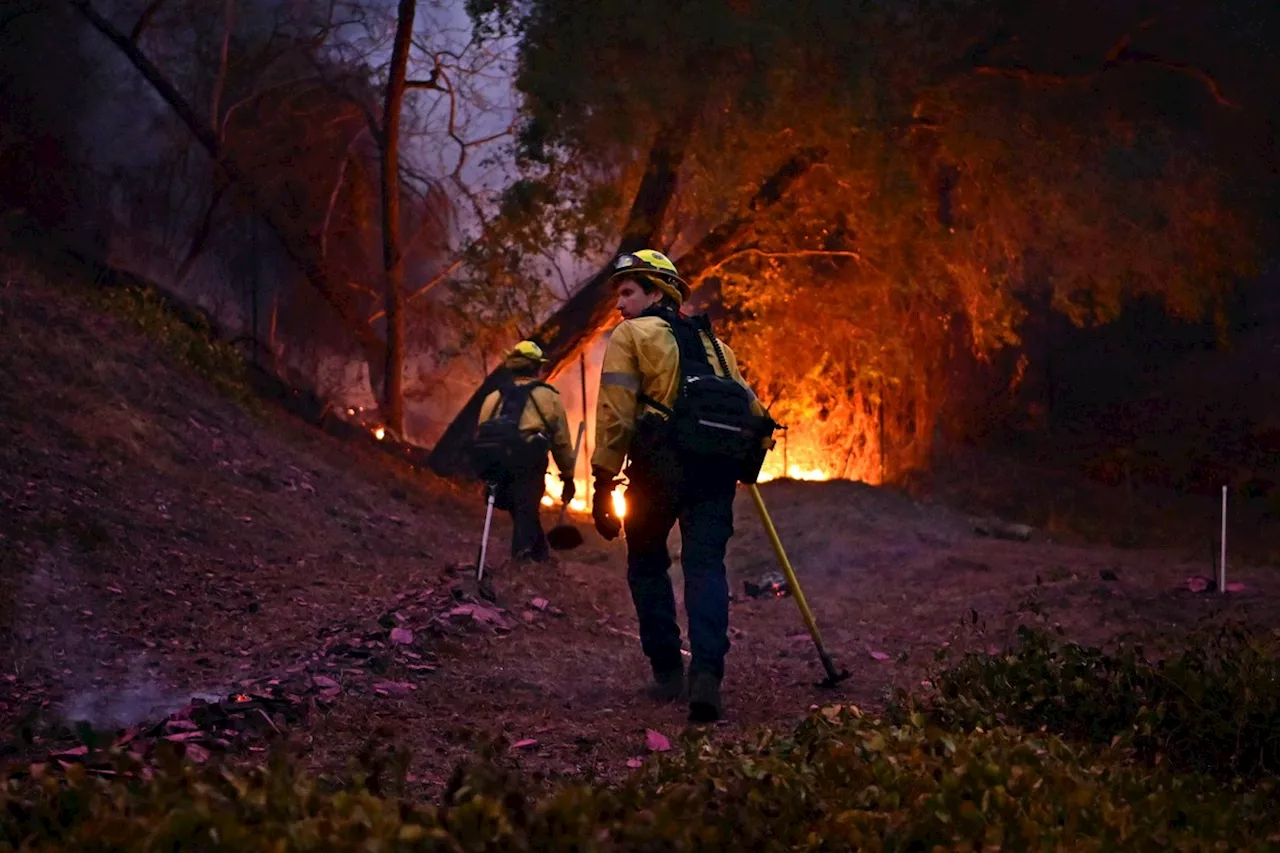 Saques Durante Incêndios Florestais em Los Angeles: 29 Detidos