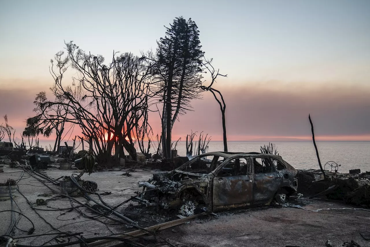 Vítimas dos incêndios em Los Angeles: histórias de solidariedade e perda