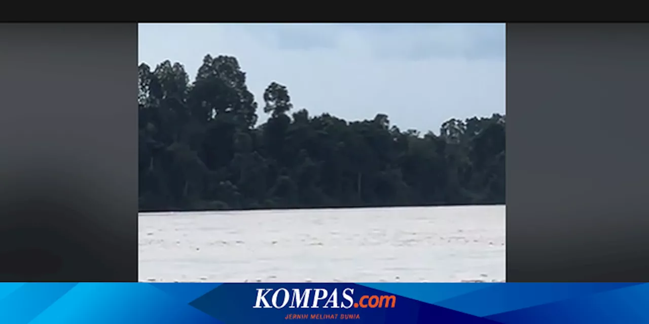 Ramai soal Buaya Pura-pura Tenggelam untuk Kelabui Manusia, Begini Kata Pakar