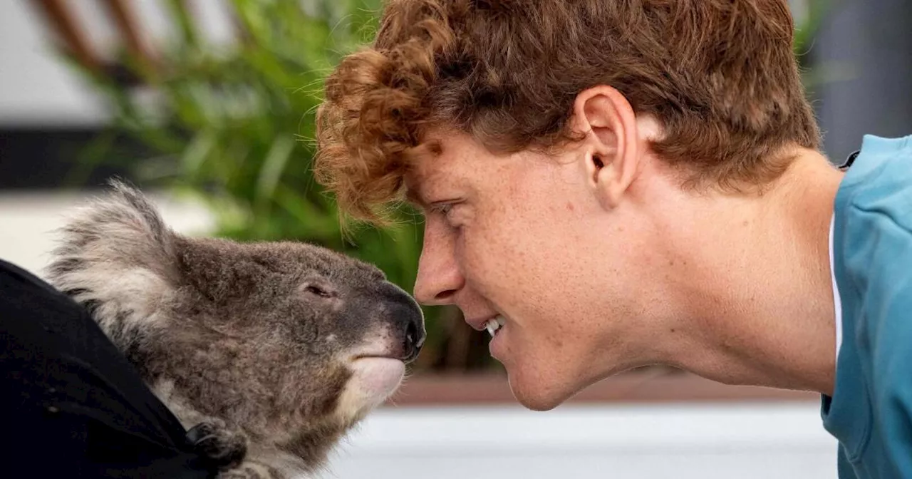 Australian Open: Sommer, Koalas und Dopingdebatten