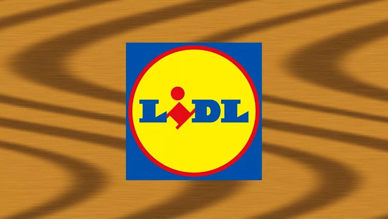 Lidl'in Hava Kızartma Makinesi İndirimli Fiyatıyla Satılıyor