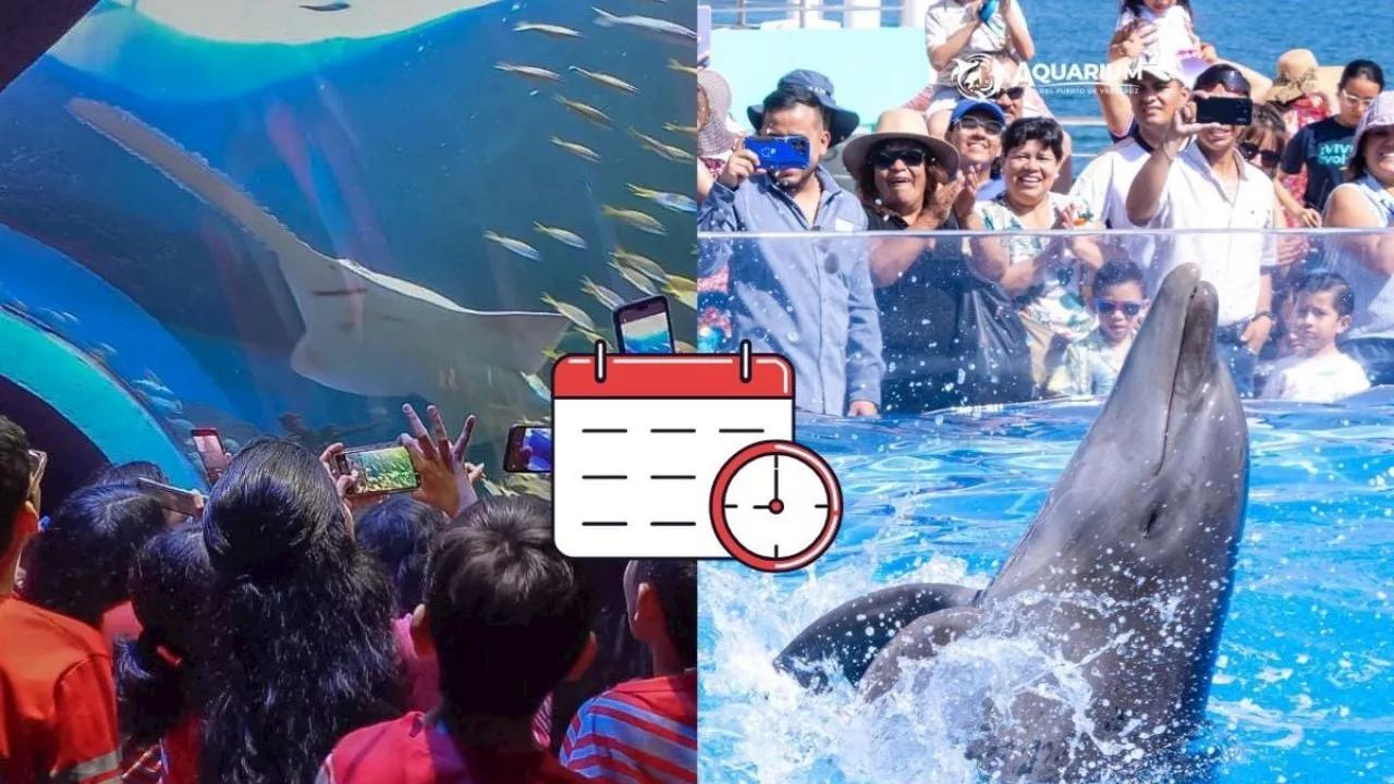 Aquarium de Veracruz: Estos días del 2025 podrás ingresar gratis