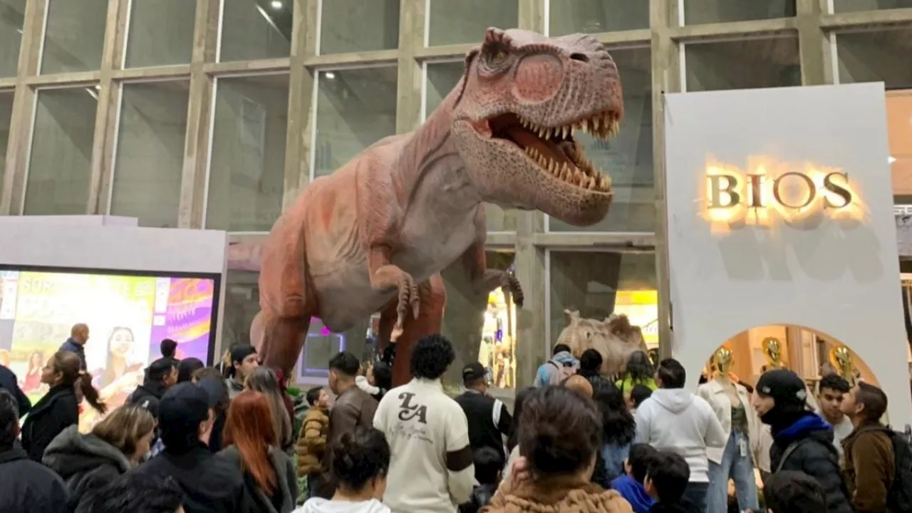 No es Parque jurásico es la Feria de León, impresiona tiranosaurio rex