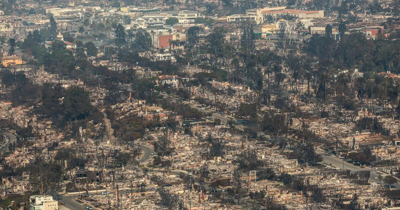 LA Wildfires: 'This Is Your Hurricane Katrina'