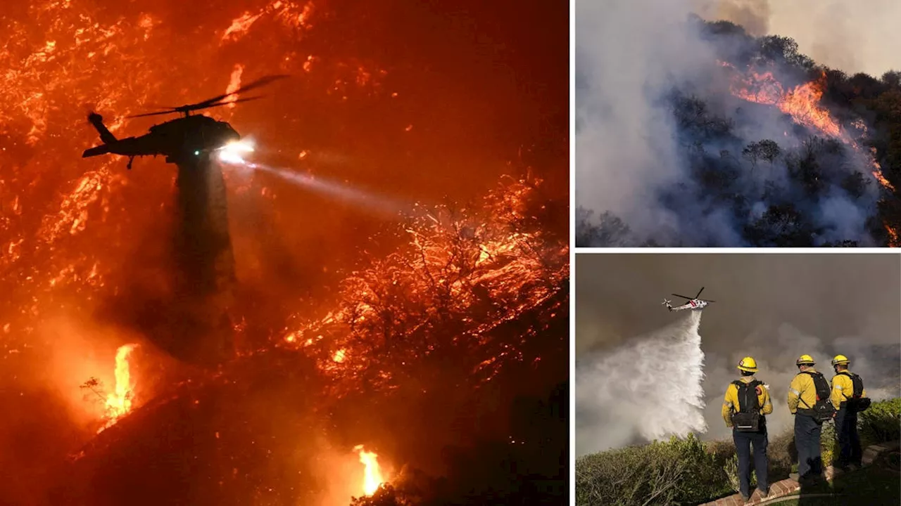 LA Wildfires Death Toll Rises to 16 as Strong Winds Threaten Further Spread