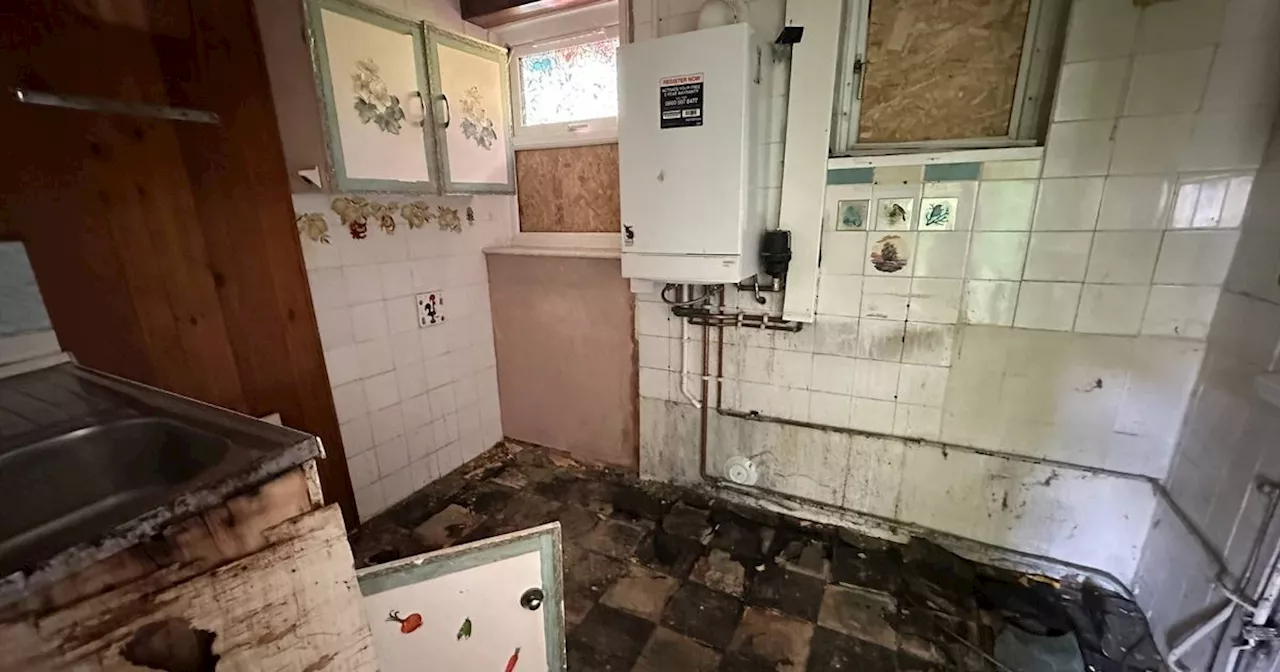 We bought a mould-ridden house - now it is unrecognisable