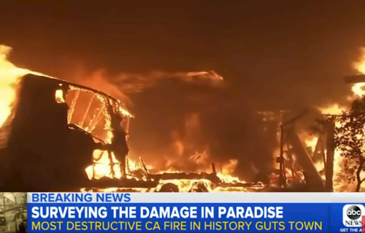 Looting Exploits Wildfire Chaos in Los Angeles