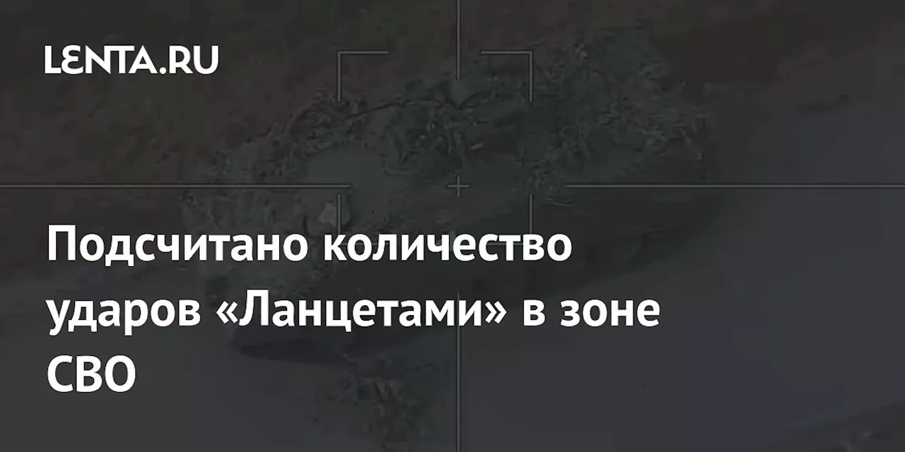 Подсчитано количество ударов «Ланцетами» в зоне СВО