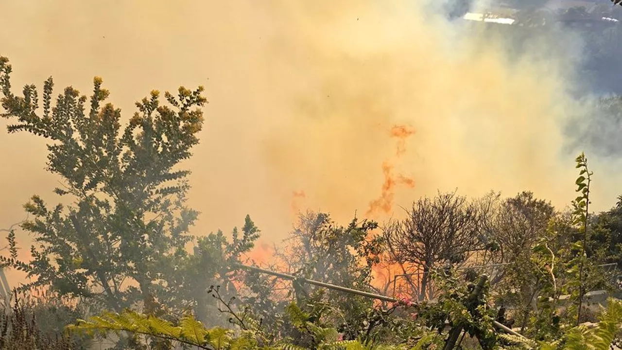 Heboh Rumah Artis Hollywood Pendukung Genosida Israel di Gaza Dihanguskan Kebakaran Hutan Los Angeles