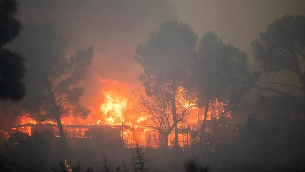 Jumlah Korban Tewas Akibat Kebakaran Hutan Los Angeles Bertambah Menjadi 16 Orang