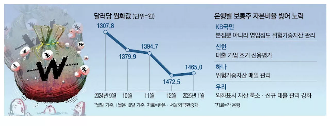 원화 약세, 금융사 자본비율 불안 심화