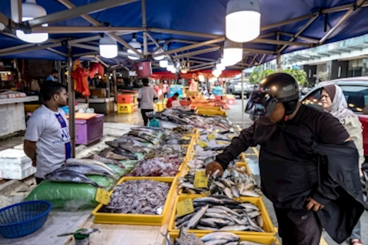 Capture fisheries sub-sector nets RM12.8b in 2024, says dept D-G