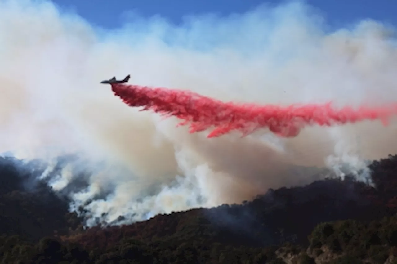 Mutiara LRT Line to Span 29.5km in Penang, California Wildfires Force Evacuations