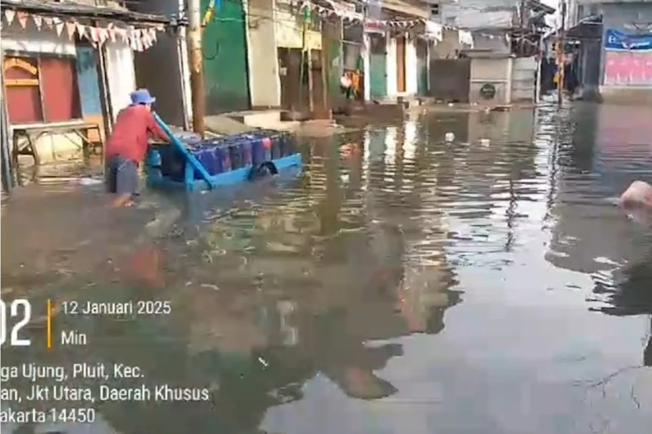 Banjir Rob Kembali Menggenangi Wilayah Jakarta Utara