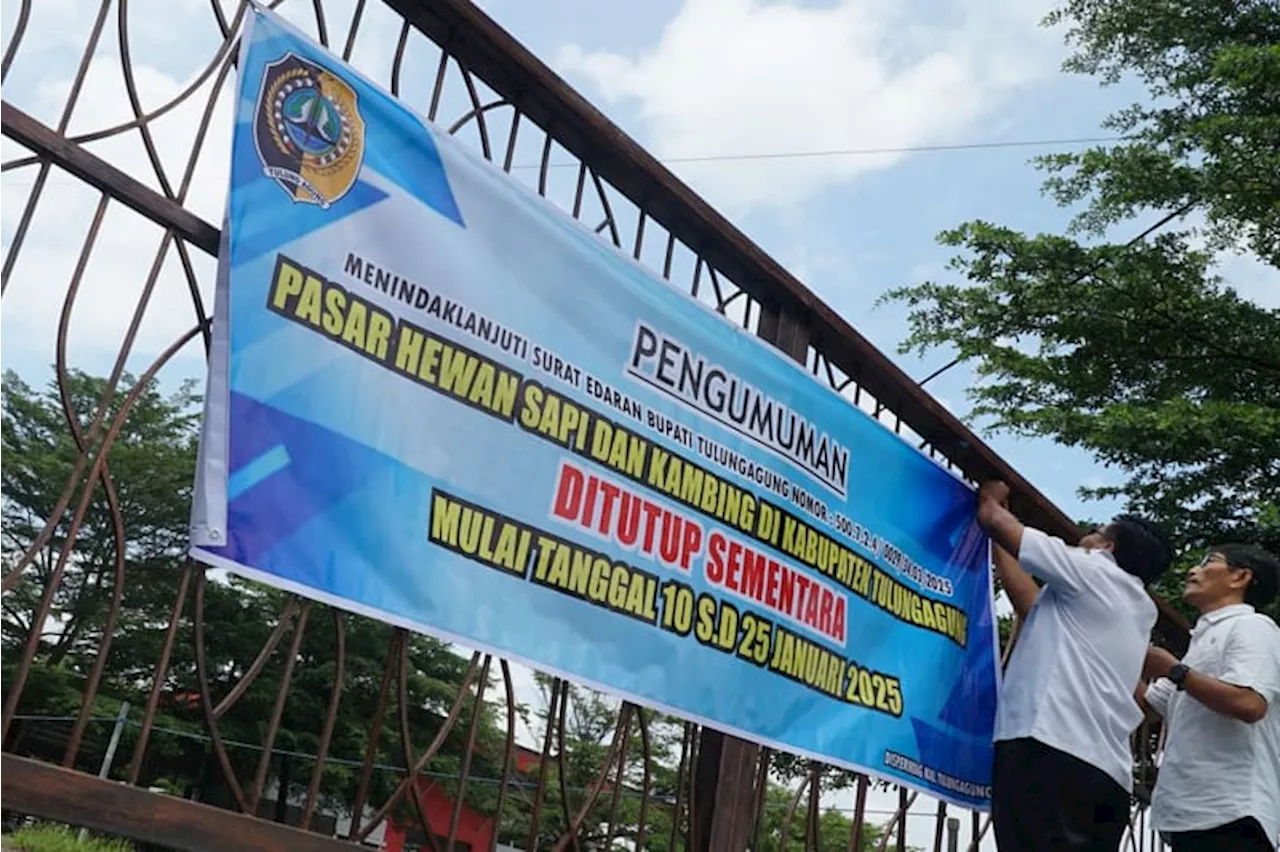 Berantas Penyebaran Penyakit Mulut dan Kuku, Jatim Butuh 7 Juta Vaksin