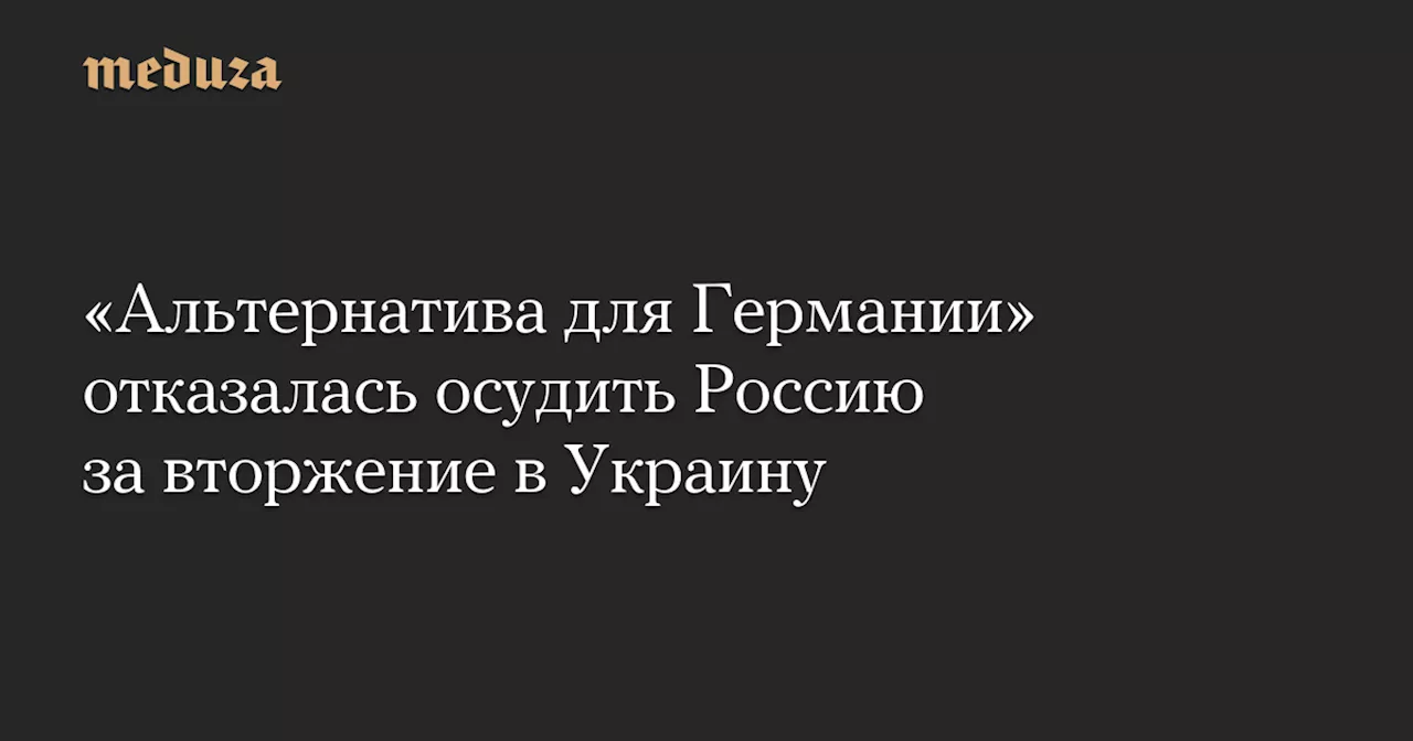 АдГ приняла предвыборный манифест и выдвинула Алису Вайдель кандидатом в канцлеры