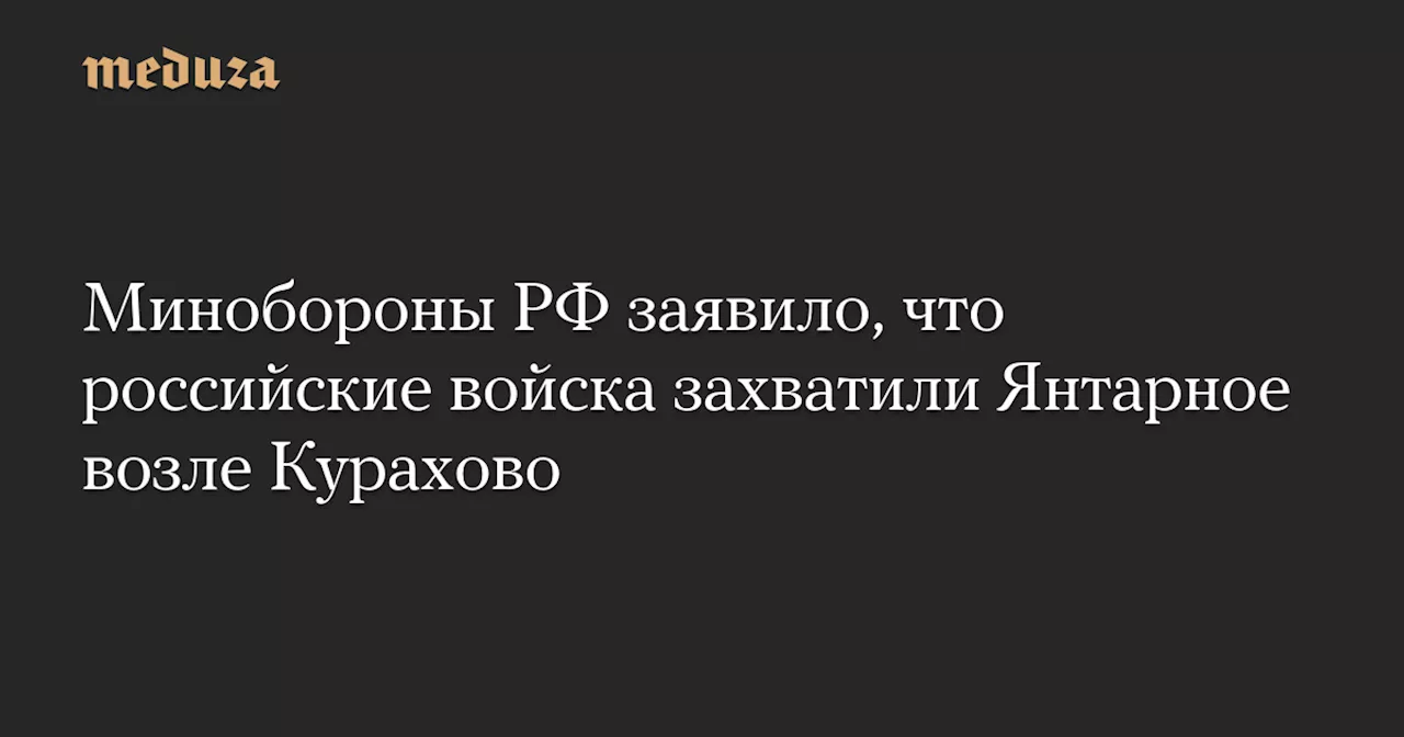 Российские войска взяли под контроль поселок Янтарное в Донецкой области