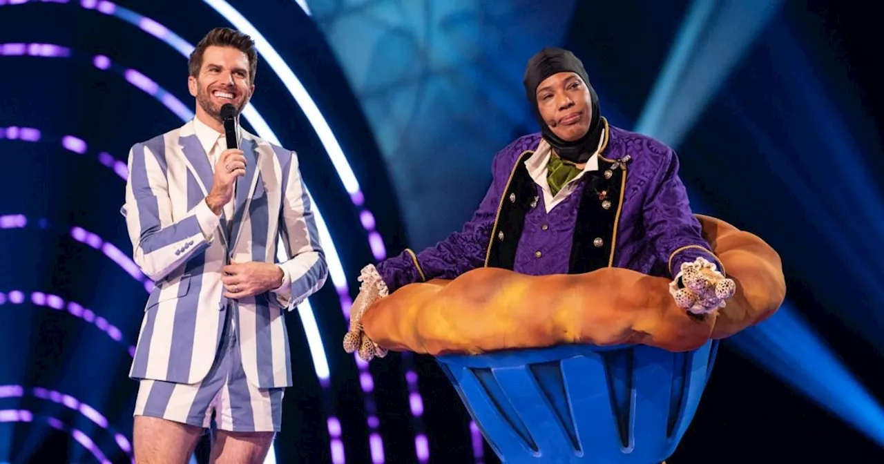 Joel Dommett Finds Macy Gray's The Masked Singer Exit Hilarious