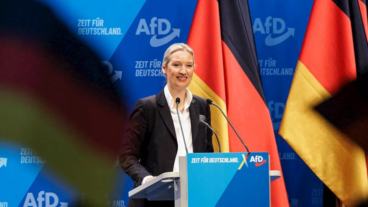 Die AfD will „Partei der Freiheit“ sein und fordert das Gegenteil